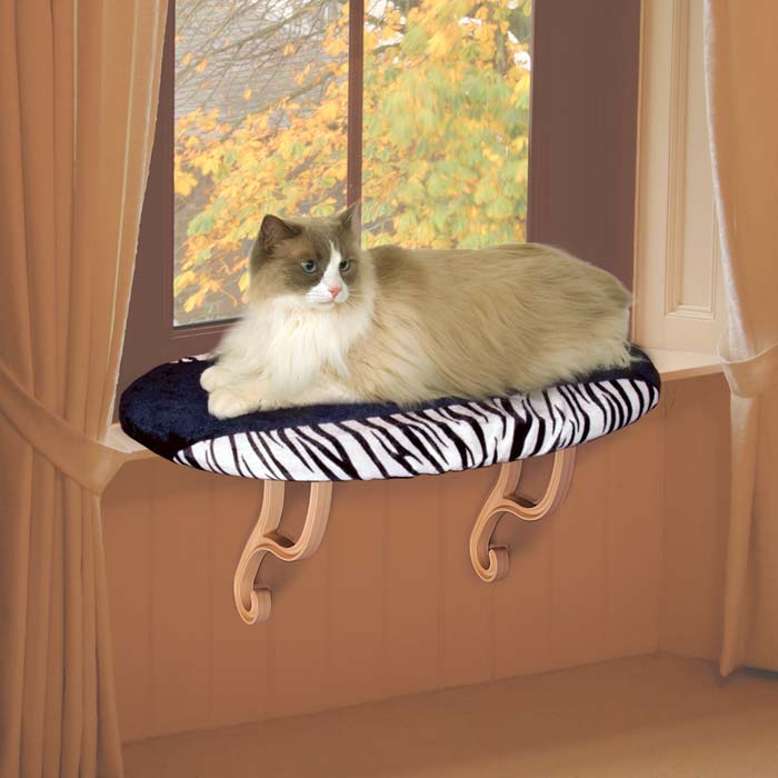 Kitty Sill