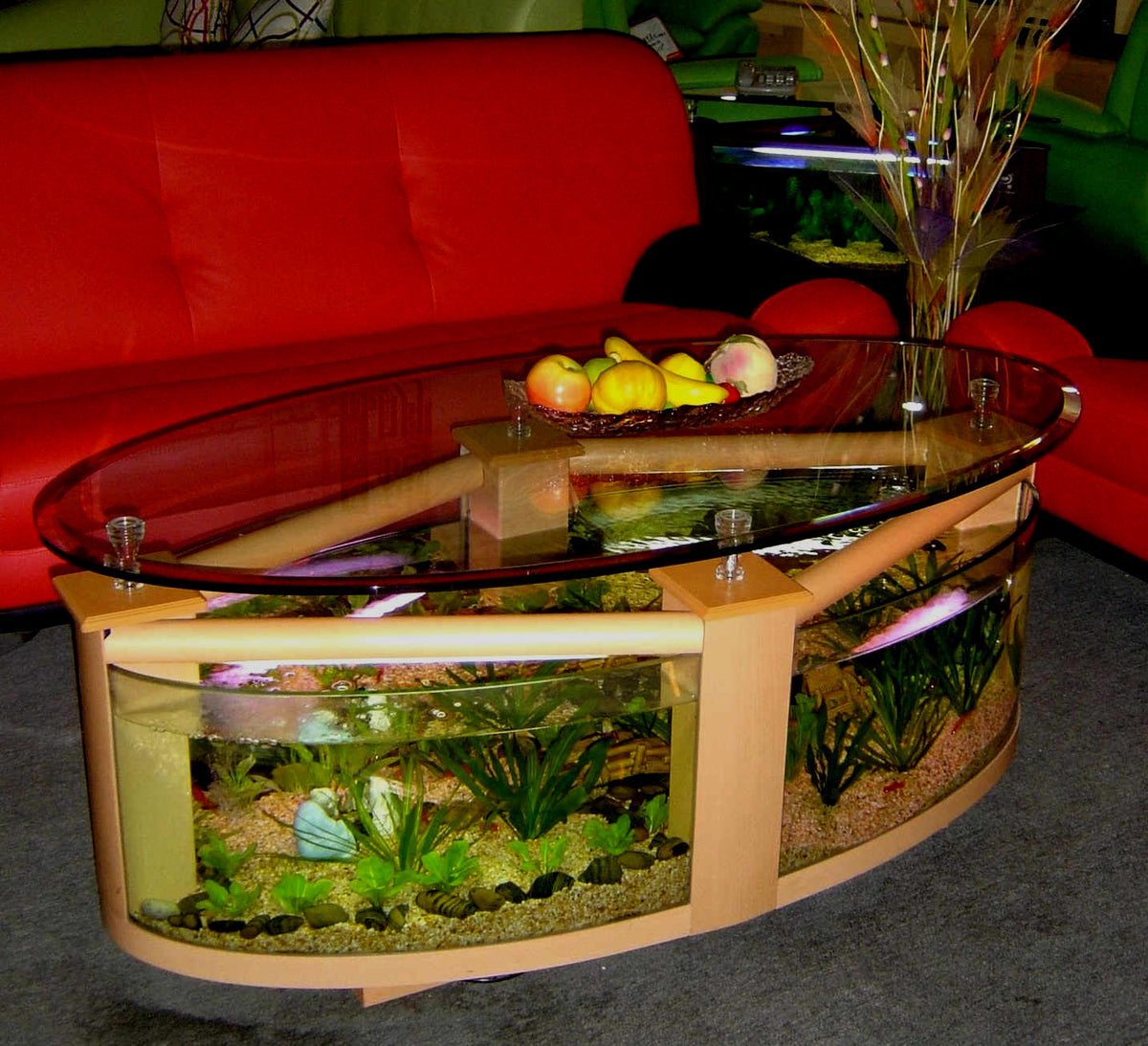 WARRANTY INCLUDED! 55 gallon GLASS round circle table aquarium fish tank setup- MAPLE