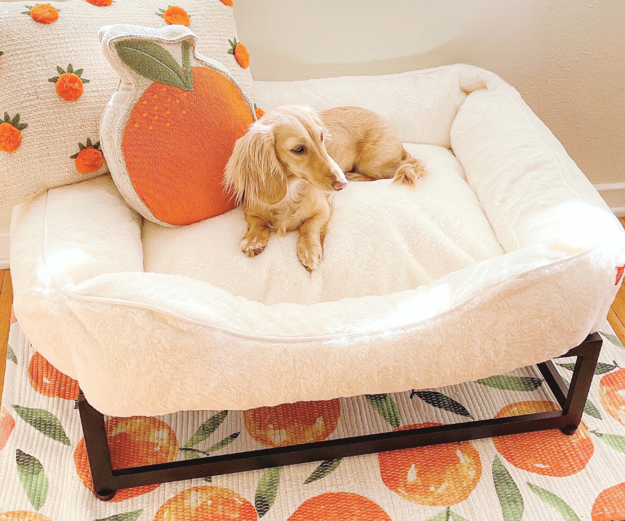 The FÜZI Dog Bed - Faux Fur