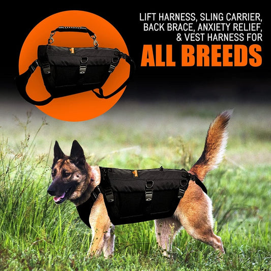 NeoAlly 5-in-1 Sturdy Dog Lift Harness Full Body Support