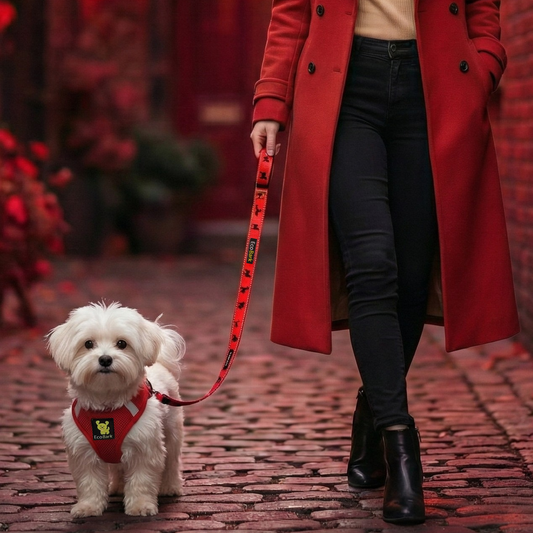 EcoBark Step In Dog Harness - XXXS to Small Breeds- Reflective Soft Mesh Harness for Teacup, Small Dogs and Puppies / Red