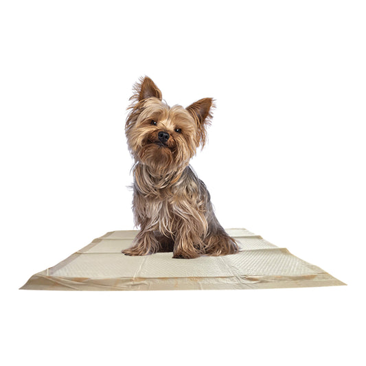 WizSmart Essentials Large Dog Training Pads for Puppies