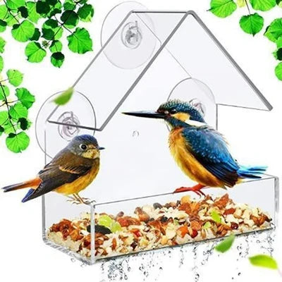Bird Feeders