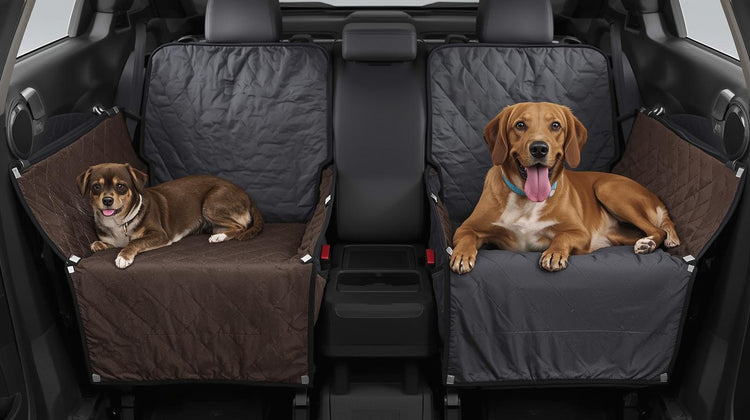 Automobile Protectors