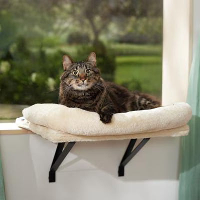 Cat Window Seats