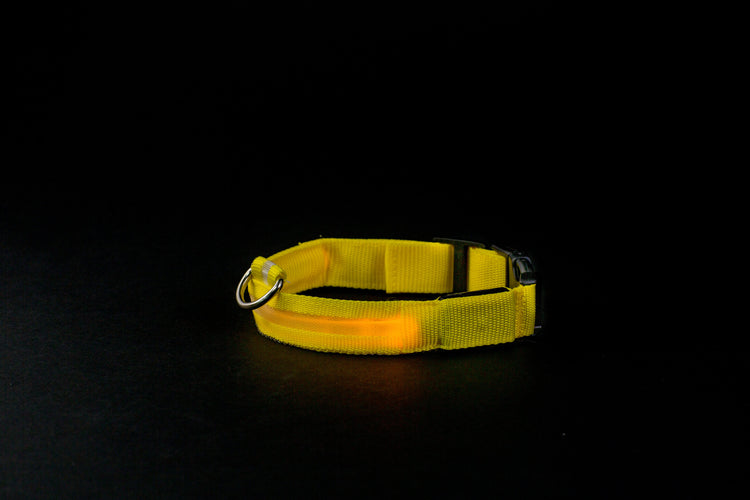Pet Collars