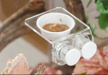Magnetic Acrylic Arboreal Feeding Ledge