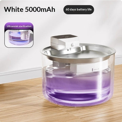Stainless Steel Cat Water Fountain, Wireless, Cordless, And Automatic Recirculation