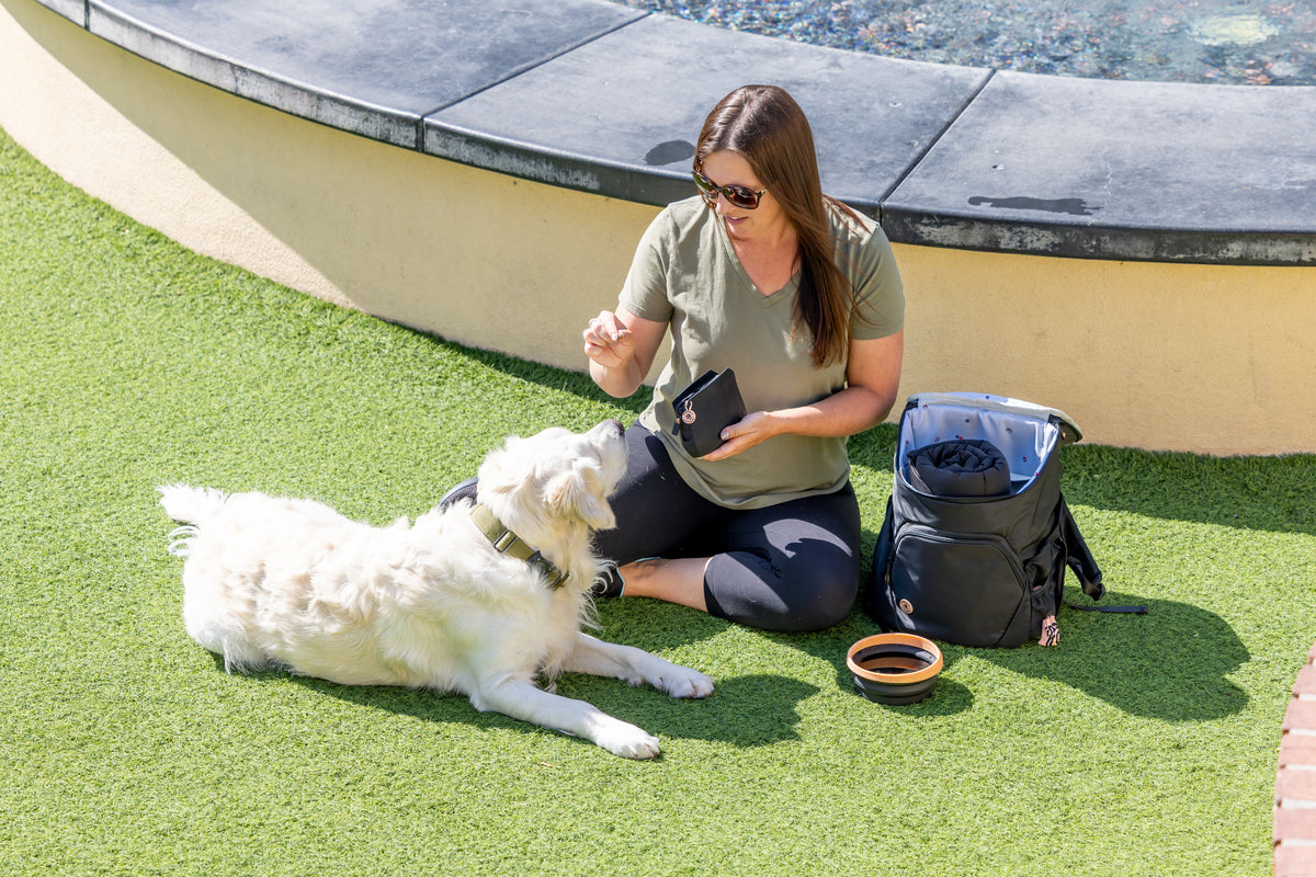 The Dog Bag™ Adventure Bundle