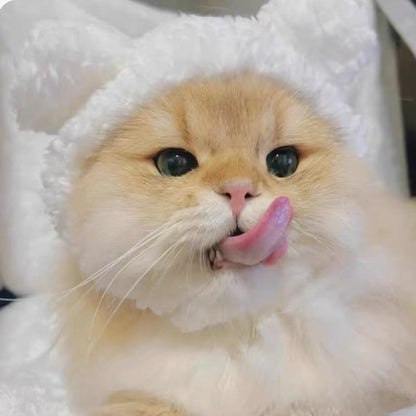 Cute Casual Winter Pet Hooded Hat