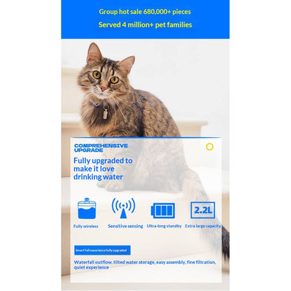 Automatic Sensor-Activated Pet Water Fountain