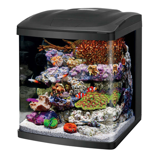 LED BioCube Aquarium Kit