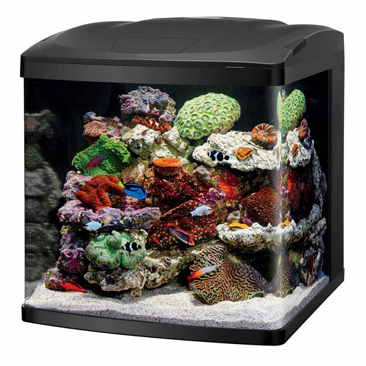 LED BioCube Aquarium Kit