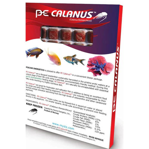 Piscine Energetics Frozen PE Mysis Shrimp - Calanus Blister Packages - 4oz / 113g