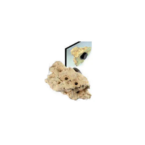 Tunze Coral Rock