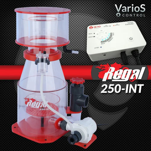 Regal Internal Protein Skimmer