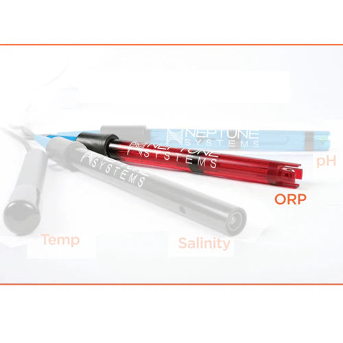 Neptune Double Junction Lab Grade ORP Probe