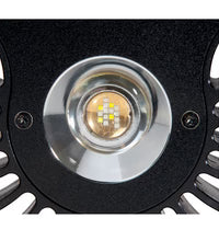 Kessil A80 Tuna LED Light