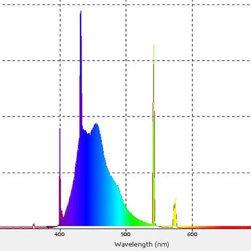 Reef Brite T5 HO Actinic Blue