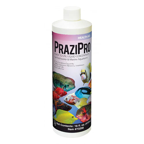 Hikari Prazipro