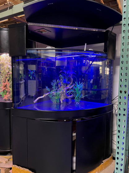 250 Gallon Glass Corner ¼ Cylinder Reef Ready Aquarium Ensemble, Unstained