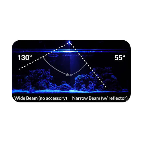 Kessil - A360X Narrow Reflector 55 Degree