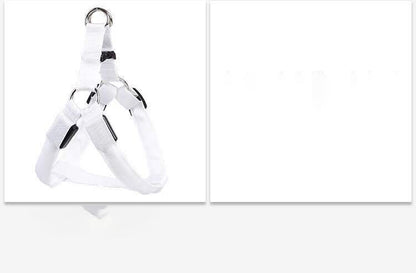 Dog Leashing Vest With Led Illuminated Chest Back