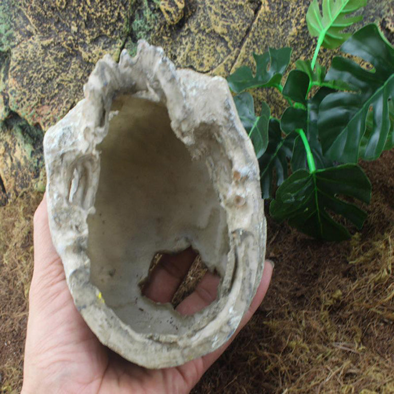 Weathered Ancient Skull Hide