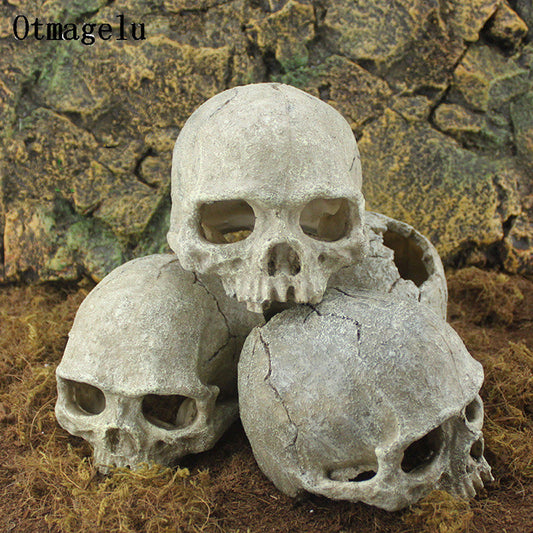 Weathered Ancient Skull Hide