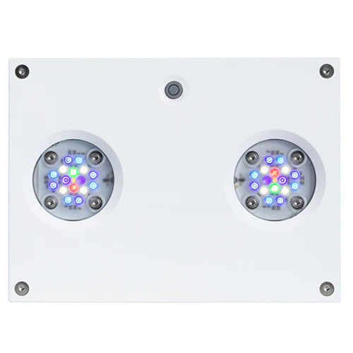 AI Hydra 32 HD LED Module