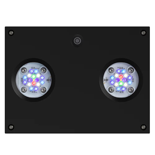 AI Hydra 32 HD LED Module