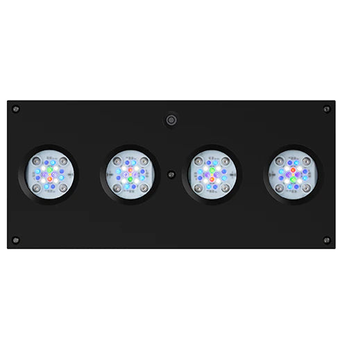 AI Hydra 64 HD LED Module