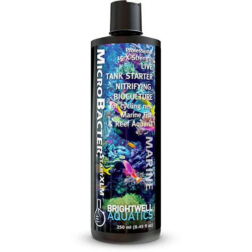 Brightwell MicroBacterSTARTXLM - Professional 15X Strong Nitrifying Tank Starter Bacteria Culture