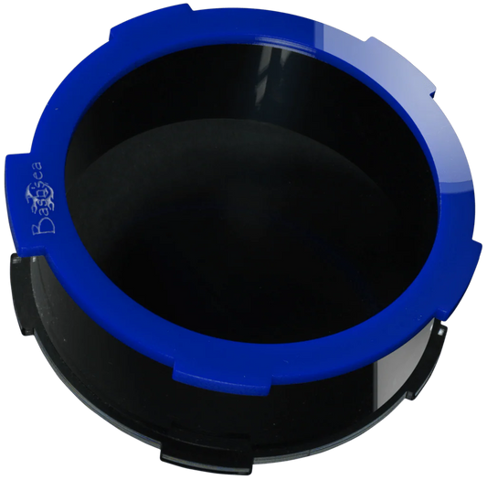 Bashsea Coral Viewer