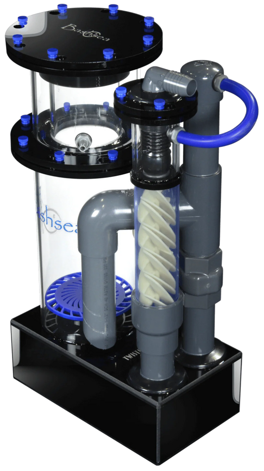 Bashsea Twisted Skimmer