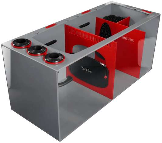 Bashsea Smart Series 36x15x16 Sump - RED