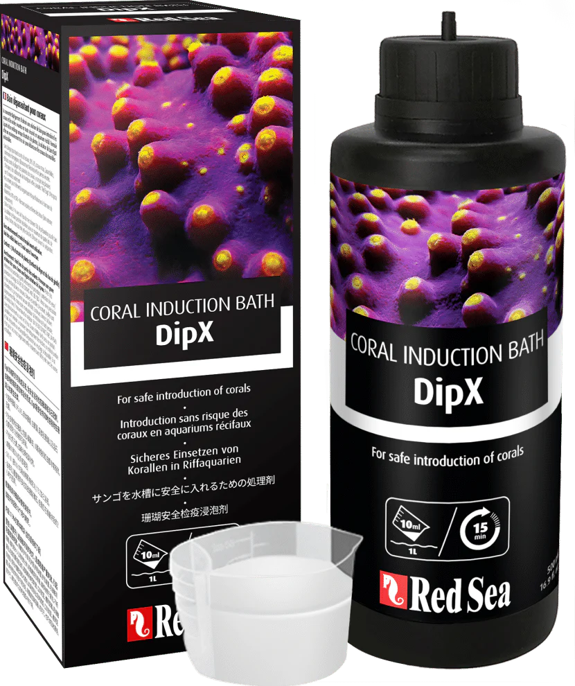 Red Sea DipX Coral Dip