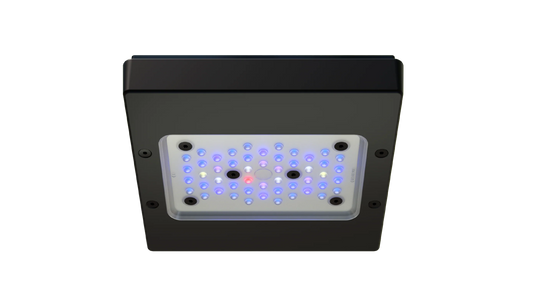Ecotech Radion G6 BLUE LED Light