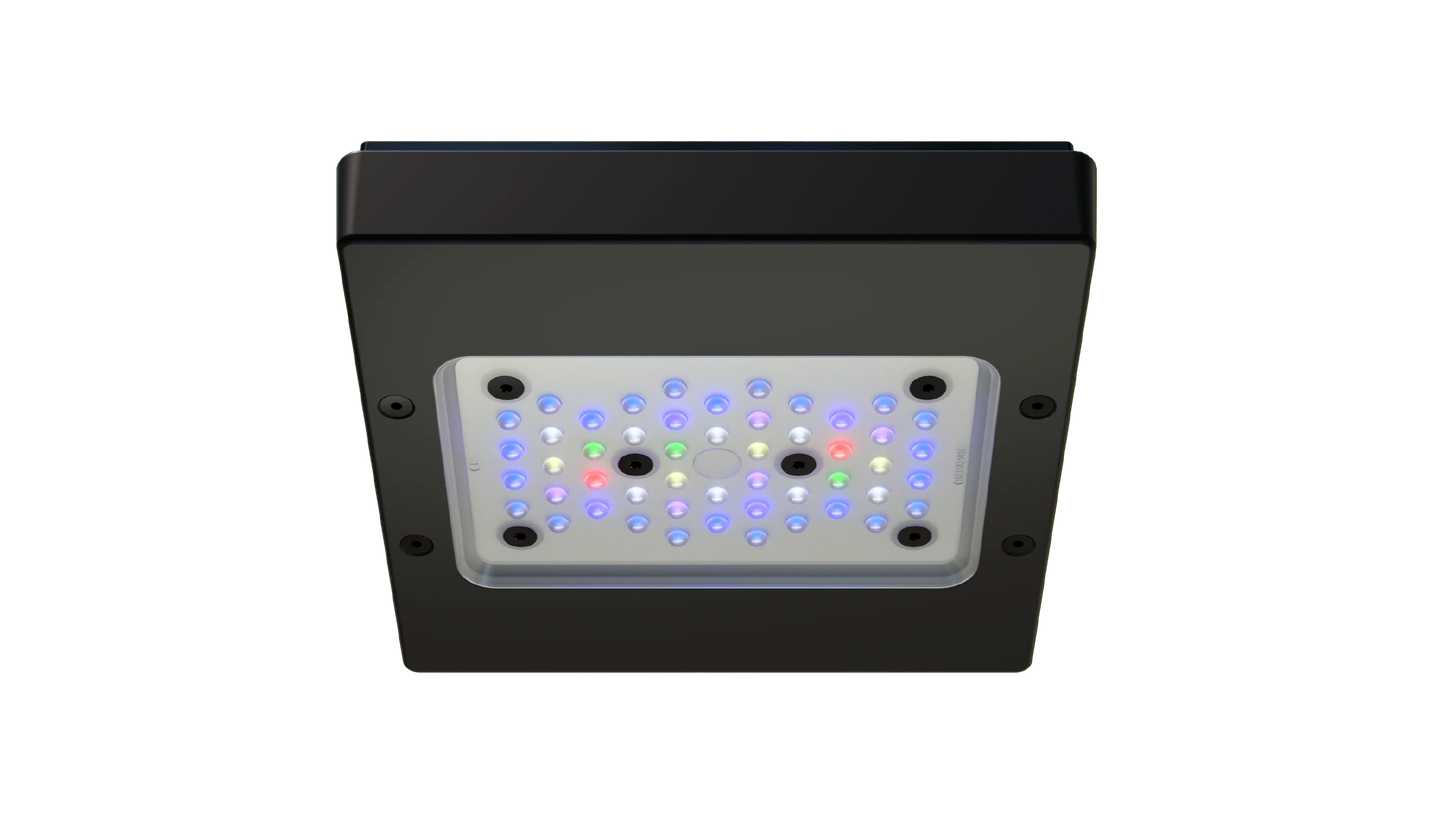 Ecotech Radion G6 BLUE LED Light