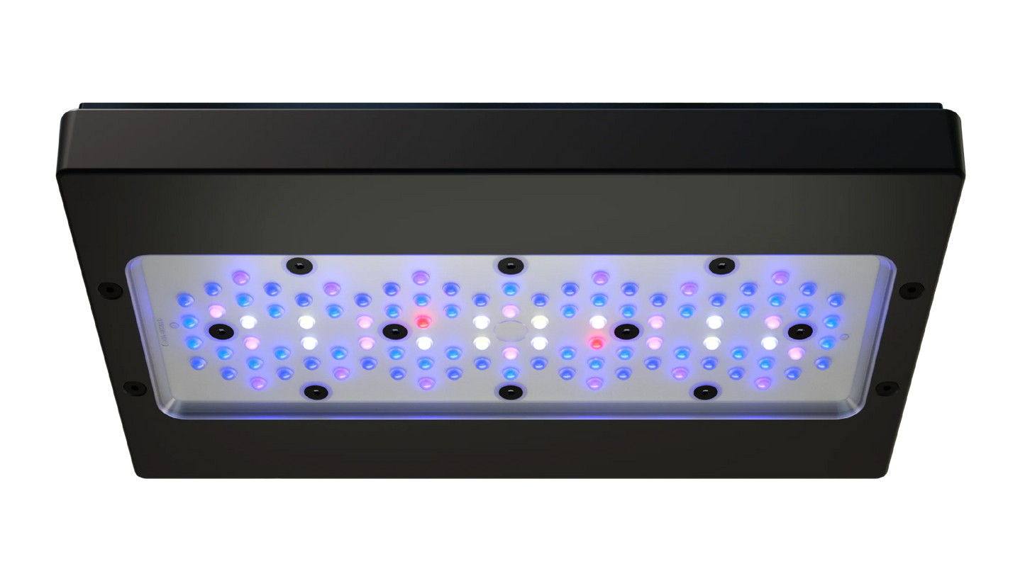 Ecotech Radion G6 BLUE LED Light