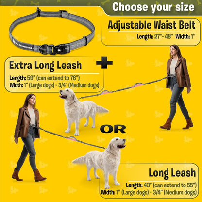 Exquisite Hands-Free Dog Leash for Large Dogs