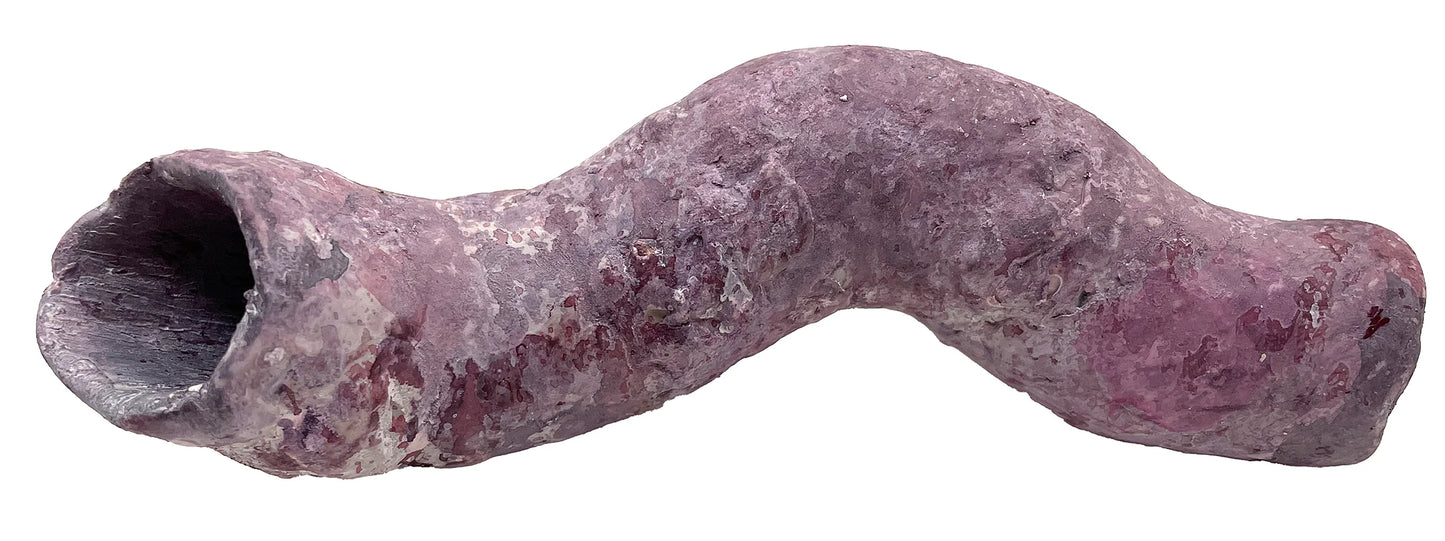 Tropic Eden Morroca Cocoworm Fish Home Tube