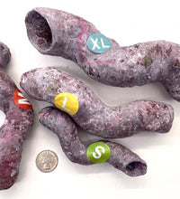 Tropic Eden Morroca Cocoworm Fish Home Tube - L