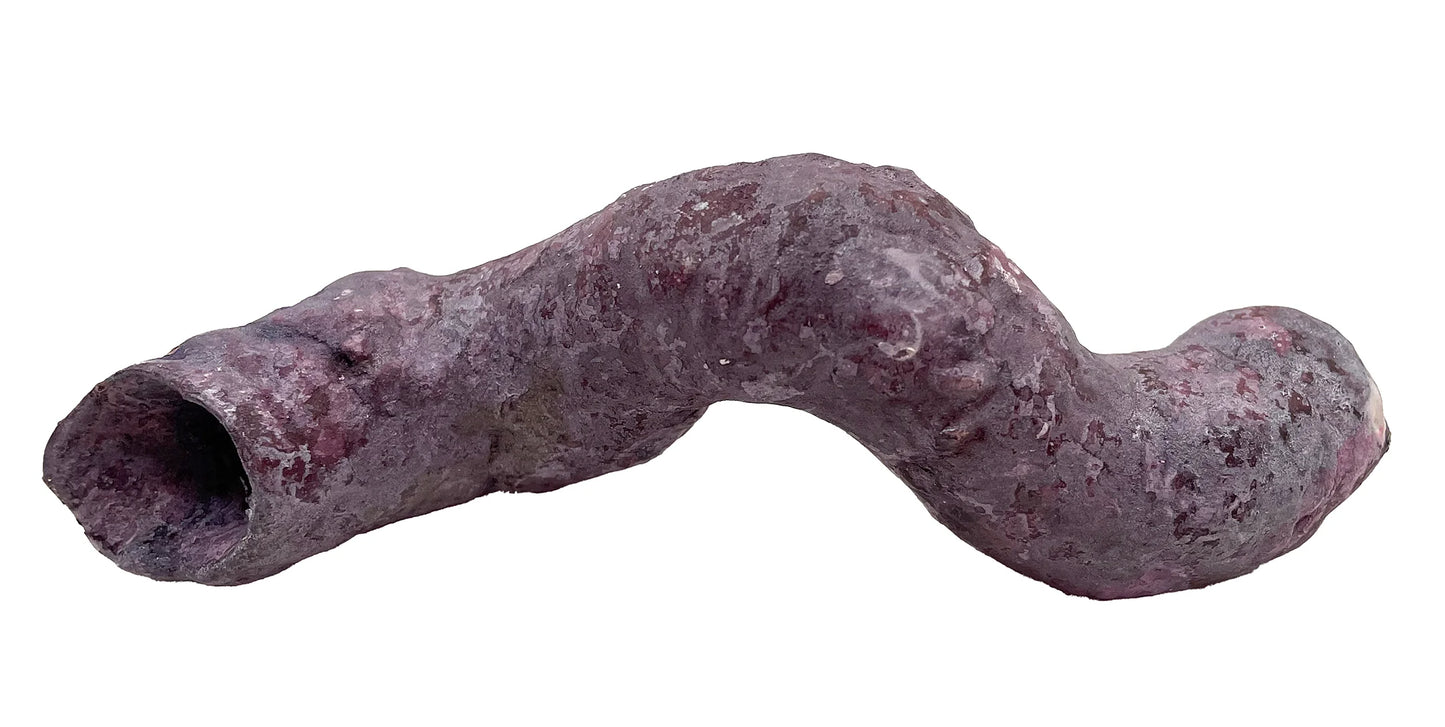 Tropic Eden Morroca Cocoworm Fish Home Tube