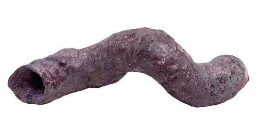 Tropic Eden Morroca Cocoworm Fish Home Tube