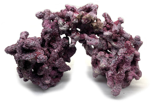 Tropic Eden Morroca Irregular Rock - Medium - ONE Piece (approx 4lbs)