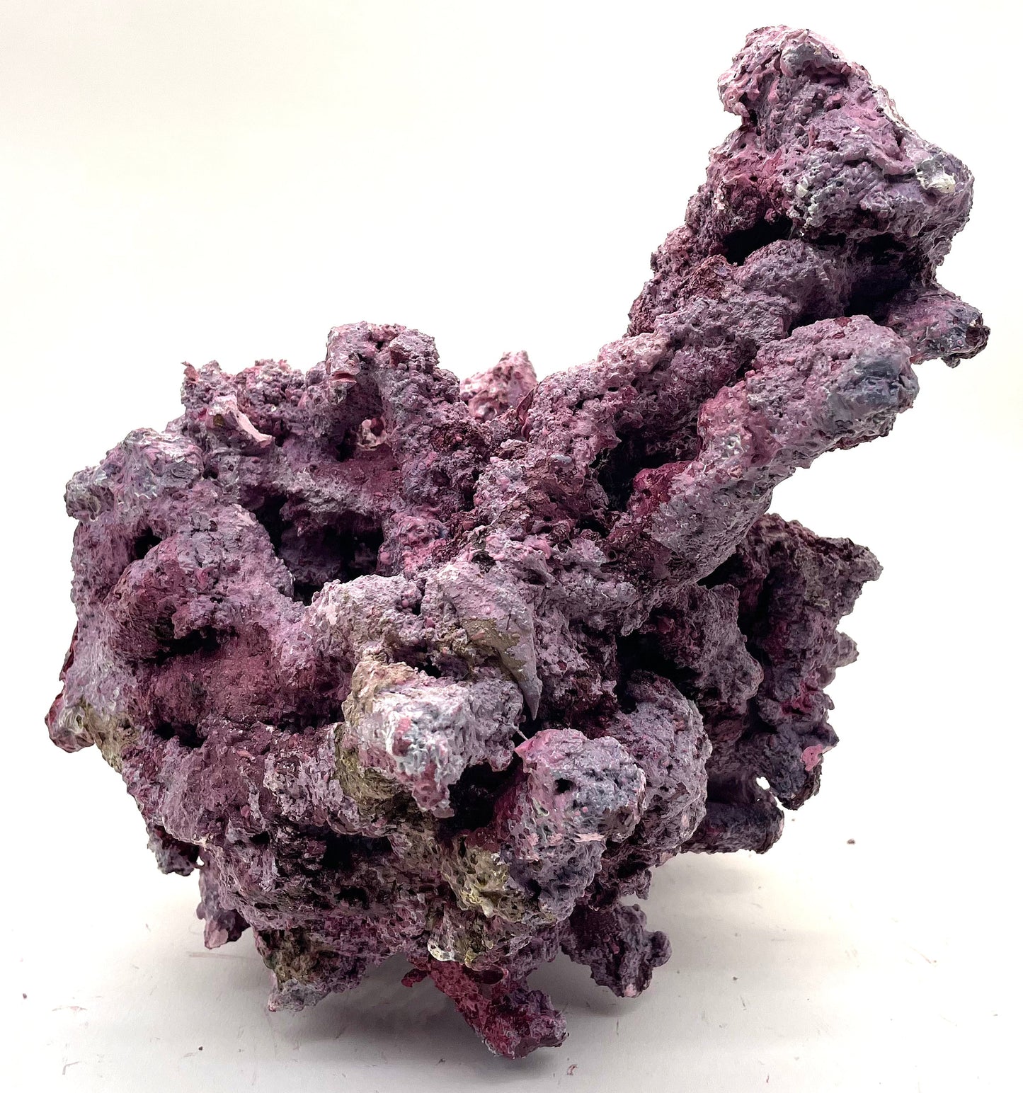 Tropic Eden Morroca Irregular Rock 1 Extension - Small - ONE Piece (1.95-2.5lbs)