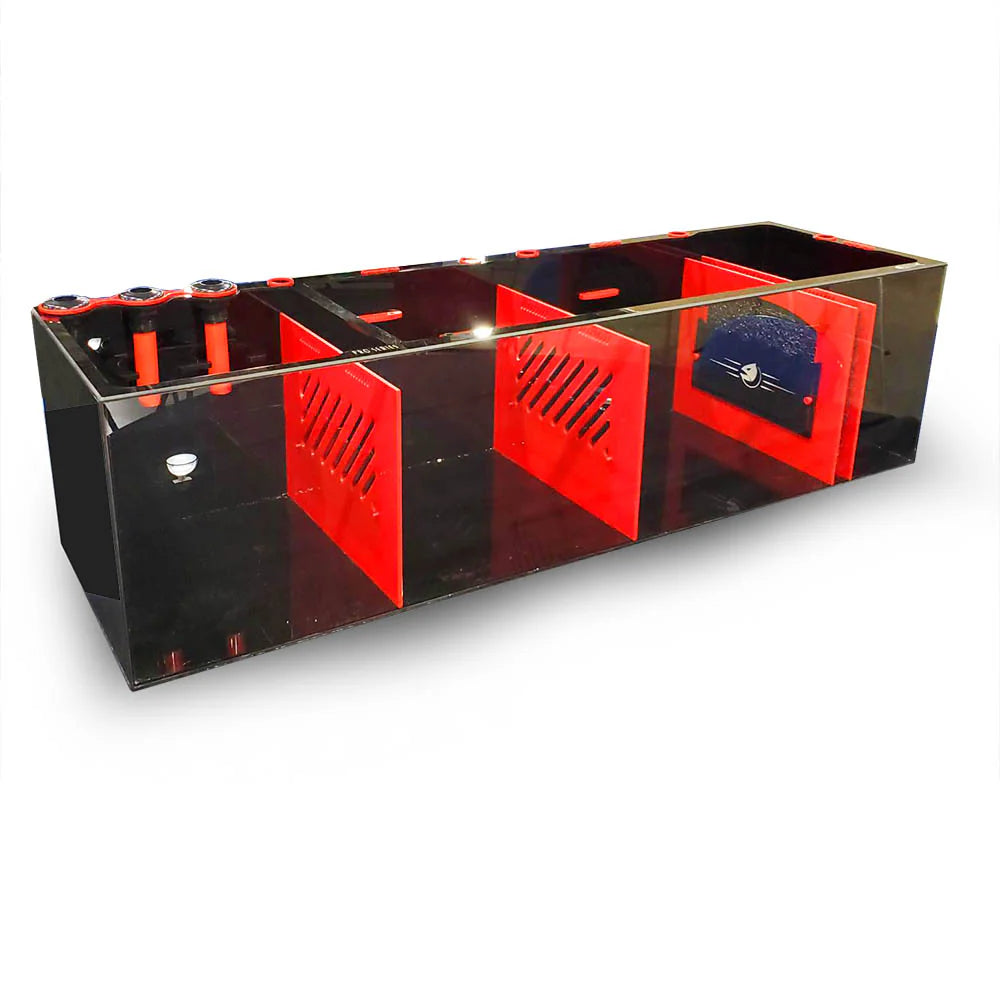 Bashsea 60x18x16 Pro Sump - Red/Black