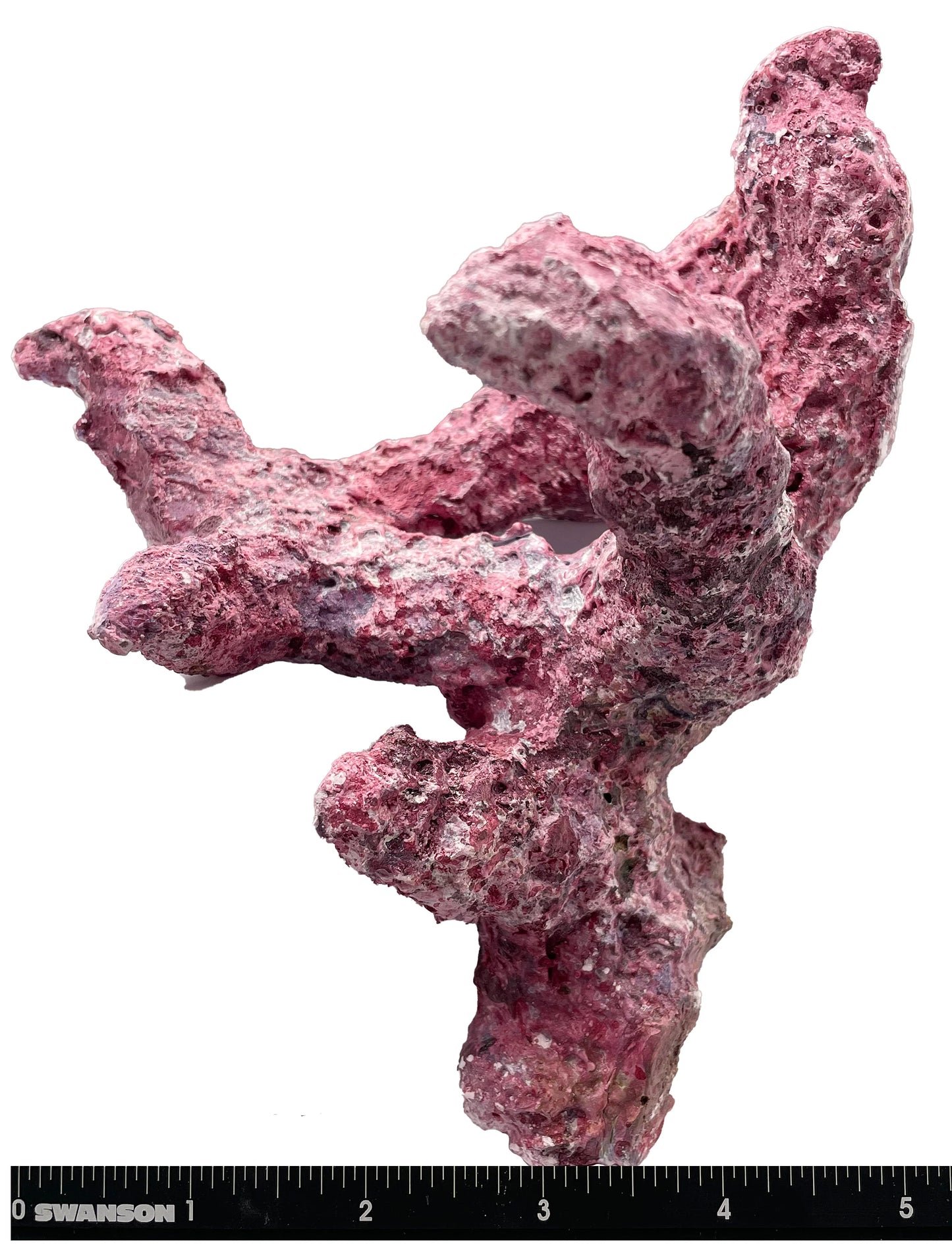 Tropic Eden Morroca Branch Rock