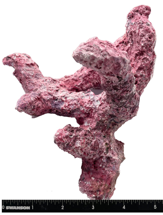 Tropic Eden Morroca Branch Rock